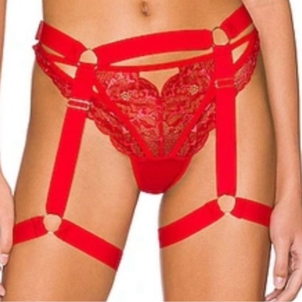 NWT $140 Free People X HAH Got Ur Back Bra Small Spin Me Panties XS Garter SET - Picture 6 of 15
